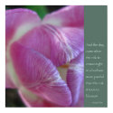 Anais Nin Quote Poster posters