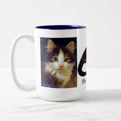 Anakin Two Legged Cat, Cute Kitten Mug Close Up