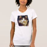 Anakin Two Legged Cat, Cute Kitten T-Shirt CloseUp