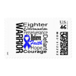 Anal Cancer Warrior Collage postage