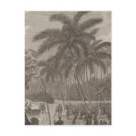 Anamooka, Tonga Post Cards