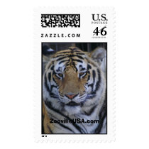 ananda-sm, ZoovilleUSA.com Stamps