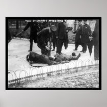 Anarchist Bomb Casualties in New York City 1908 Poster