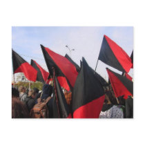 anarchist flags postcard