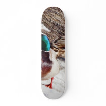 Anas Platyrhynchos Male And Female Mallards On Wat skateboards by lifesphere Anas Platyrhynchos Male And Female Mallards On Wat skateboards