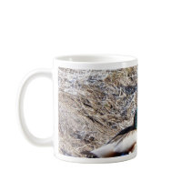 Anas Platyrhynchos Mugs