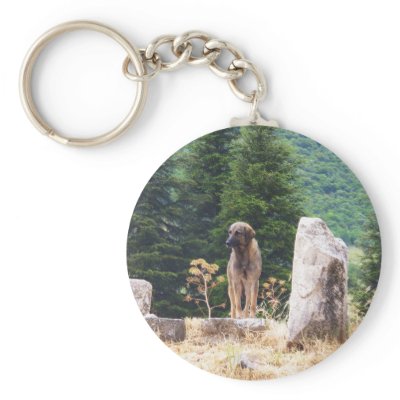 Anatolian Shepherd Dog -  Ephesus, Turkey Keychain by historyluver