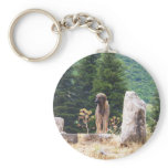 Anatolian Shepherd Dog -  Ephesus, Turkey keychains