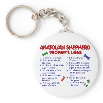 ANATOLIAN SHEPHERD Property Laws 2 Keychain by poochloverstuff
