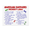 ANATOLIAN SHEPHERD Property Laws 2 postcards by poochloverstuff ANATOLIAN SHEPHERD Property Laws 2 postcards