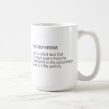 Anatomía masculina - vaso Deferens Tazas
