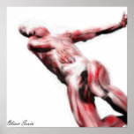 Anatomic Study II Poster