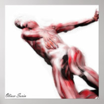 Anatomic Study II posters