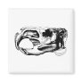 Anatomical Beaver Skull Black & White Magnet