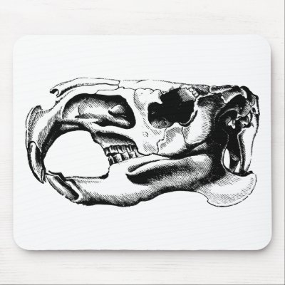 Anatomical Beaver Skull Black & White Mouse Pad by superskull