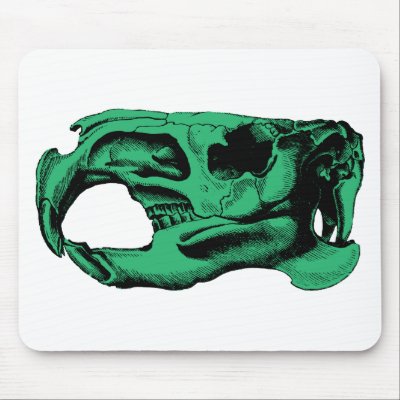 Anatomical Beaver Skull Green Mouse Pads by superskull