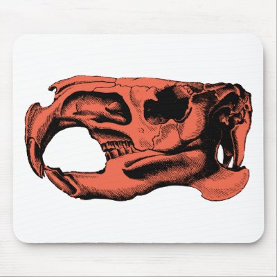 Anatomical Beaver Skull Orange Mouse Pads by superskull