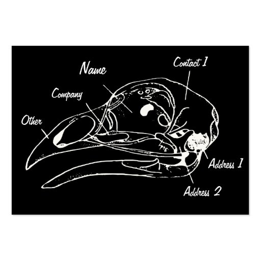 Anatomical Bird Skull Illustration Business Card (front side)