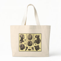 Anatomical Brain and More Bag