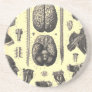 Anatomical Brain and More Beverage Coaster Anatomical Brain and More Beverage Coaster
