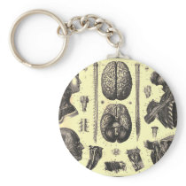 Anatomical Brain and More Keychain