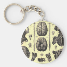 Anatomical Brain and More Keychain