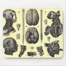 Anatomical Brain and More Mouse Pads