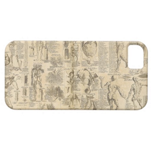 Anatomical Chart from Cyclopaedia 1728 iPhone 5 Case