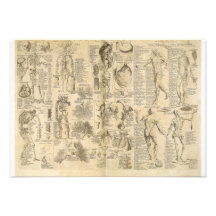 Anatomical Chart from Cyclopaedia 1728 Personalized Announcement