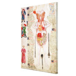 english, school, 1412, dissection, early,...