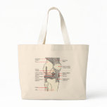 Anatomical Diagram of a Human Right Knee Joint Canvas Bag
