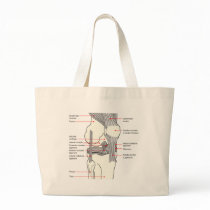 Anatomical Diagram of a Human Right Knee Joint Canvas Bag