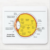 Anatomical Diagram of the Human Eye Ball Mousepads