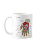 Anatomical Diagram of the Human Hand and Wrist Mugs