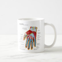 Anatomical Diagram of the Human Hand and Wrist Mugs
