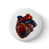 Anatomical Heart Pinback Button