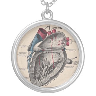 Anatomical Heart Diagram