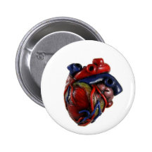 Anatomical Heart Pinback Button