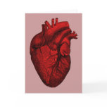 Anatomical Human Heart cards