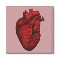 Anatomical Human Heart Fridge Magnet