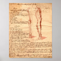 Anatomical Sketch Print