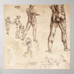 Anatomical  Studies Canvas Print