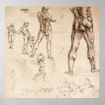 Anatomical  Studies Print