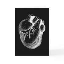 Anatomically Correct Heart cards