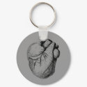Anatomically Correct Heart keychains by opheliasart Anatomically Correct Heart keychains