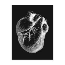 Anatomically Correct Heart Postcard