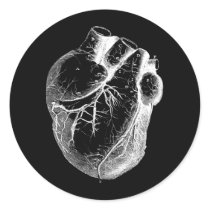 Anatomically Correct Heart Stickers