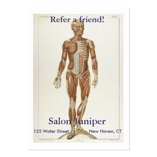 Anatomy Anterior Business Card Template