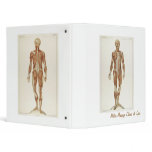 Anatomy Anterior & Posterior Muscles 3 Ring Binders