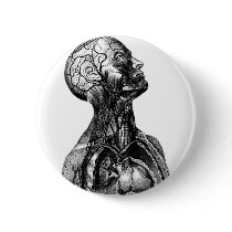 Anatomy Bust buttons by spyderfyngers Anatomy Bust buttons